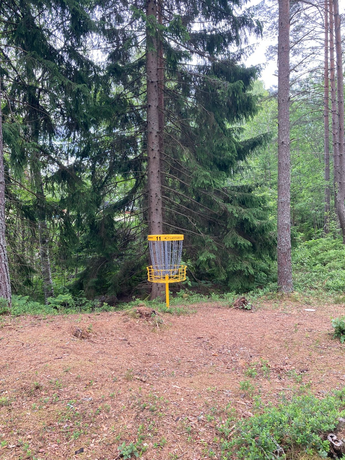 Green hål 11