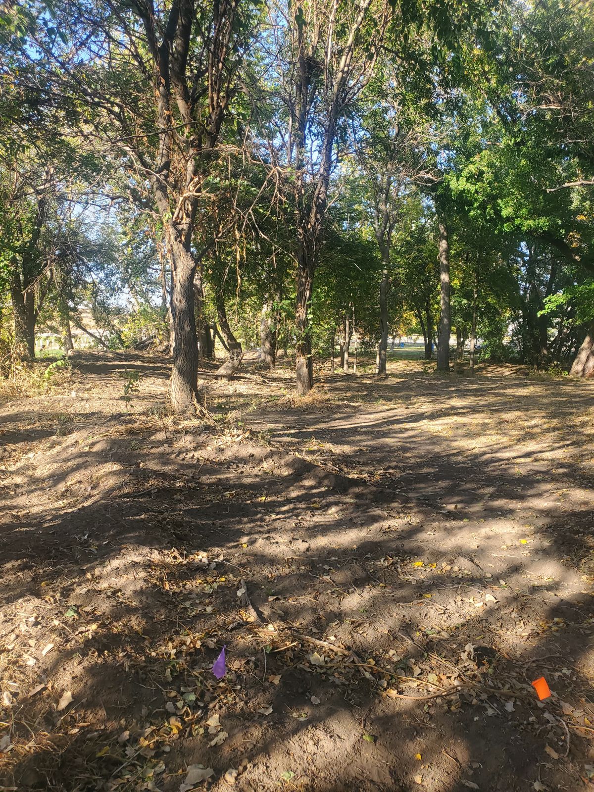 Hole 8