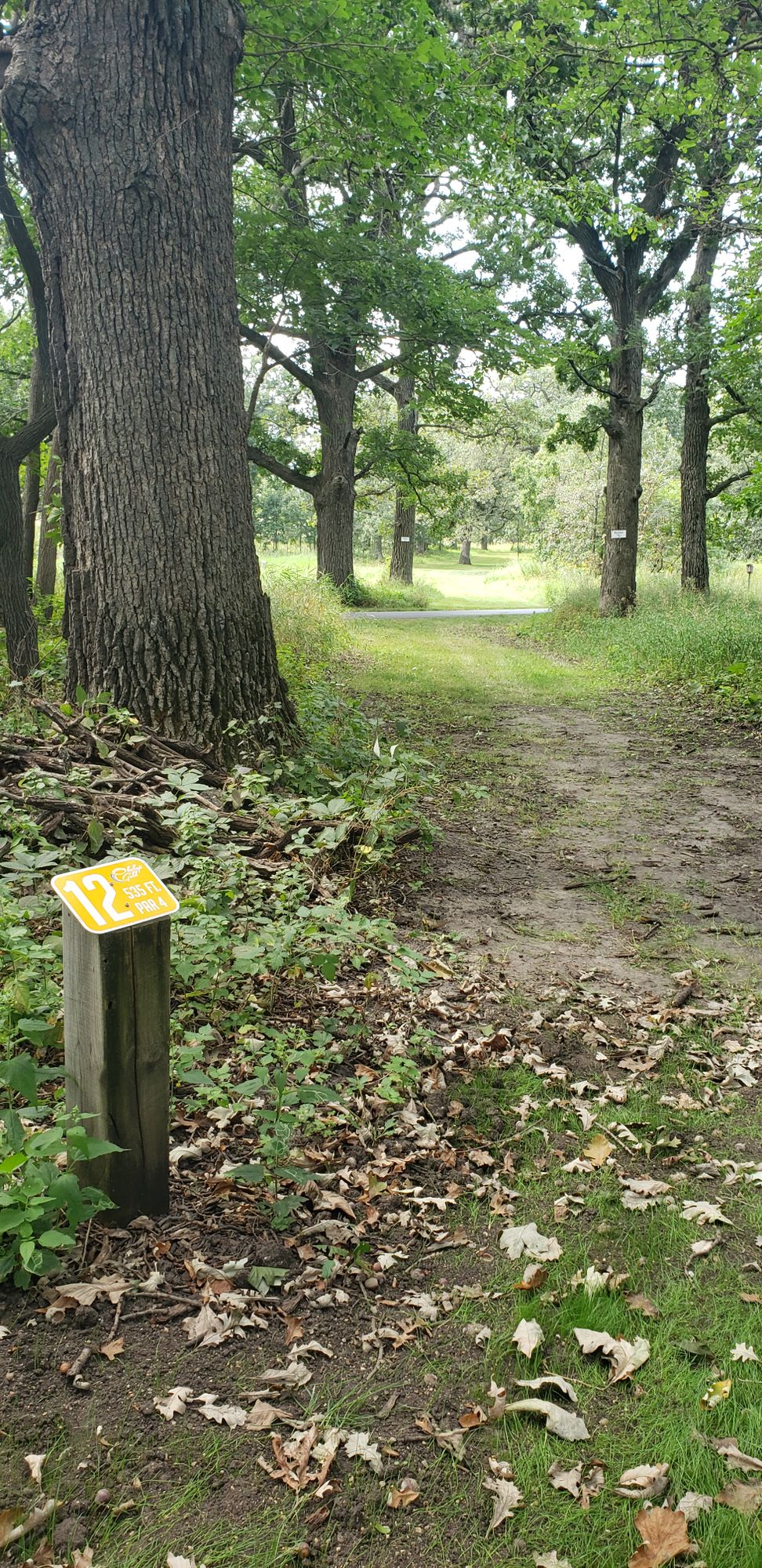 Can you thread the fairway between two mando!