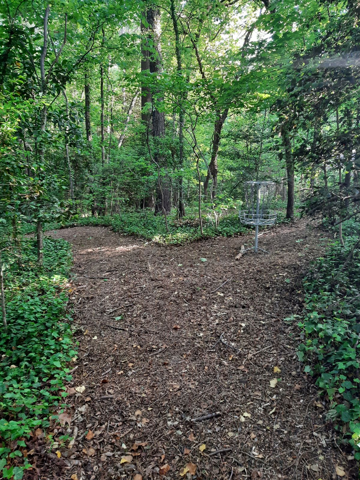 Hole 20 Green A Pin