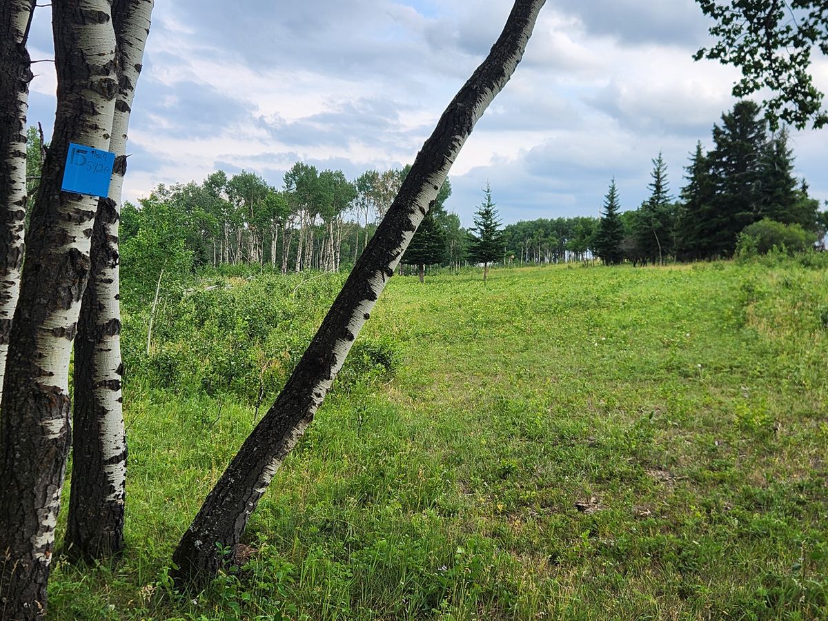 Hole 15