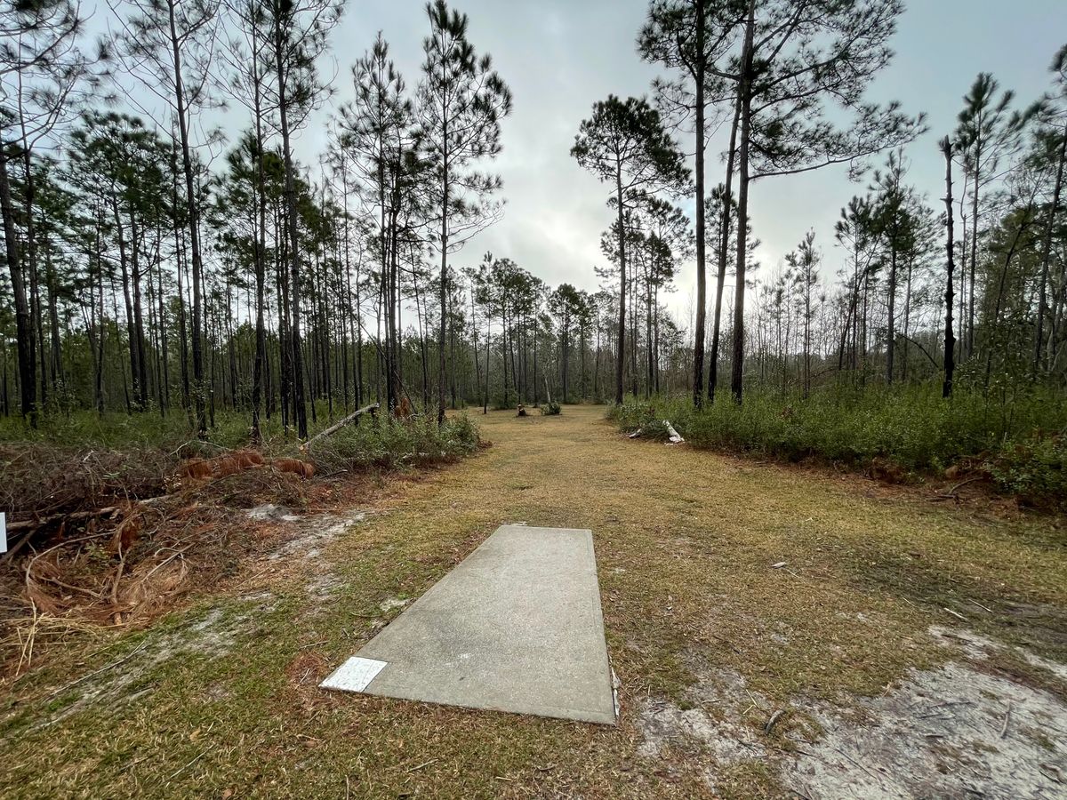Hole 7