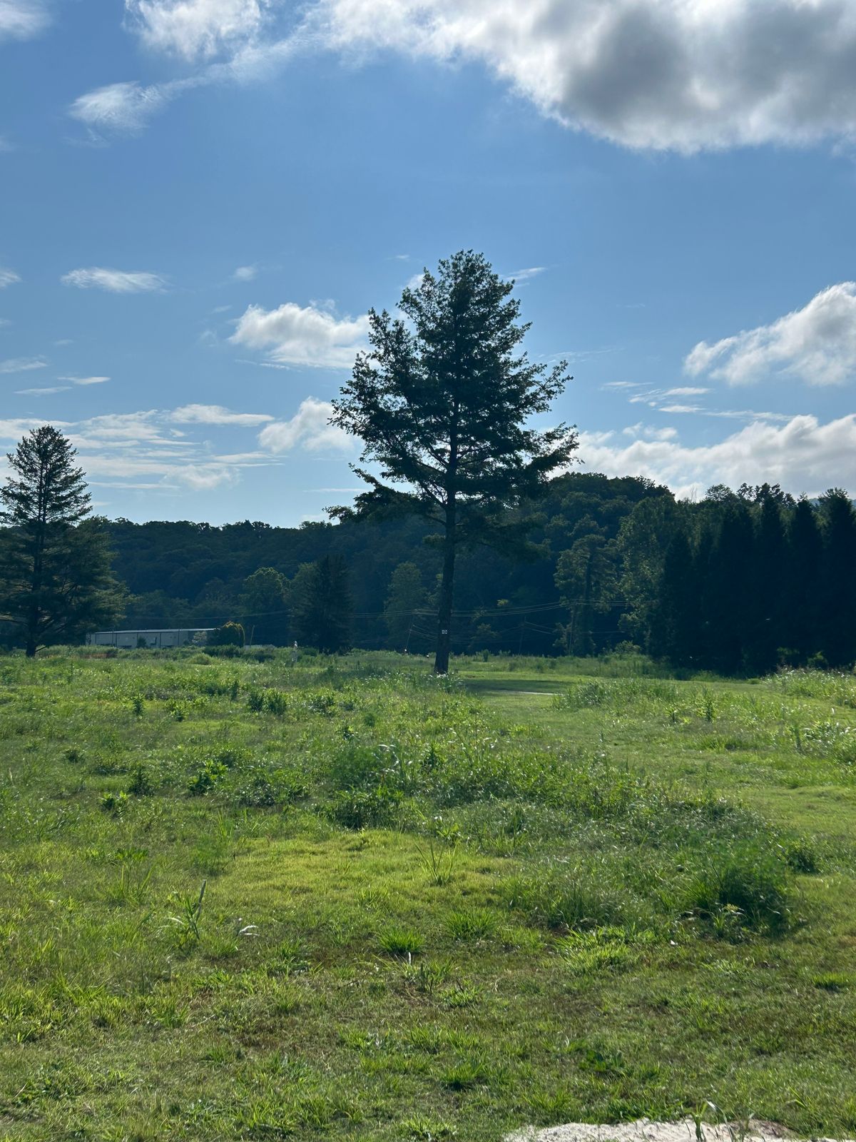 Hole 17