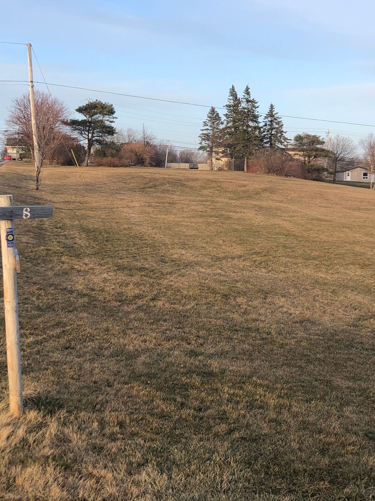 Hole 8 tee