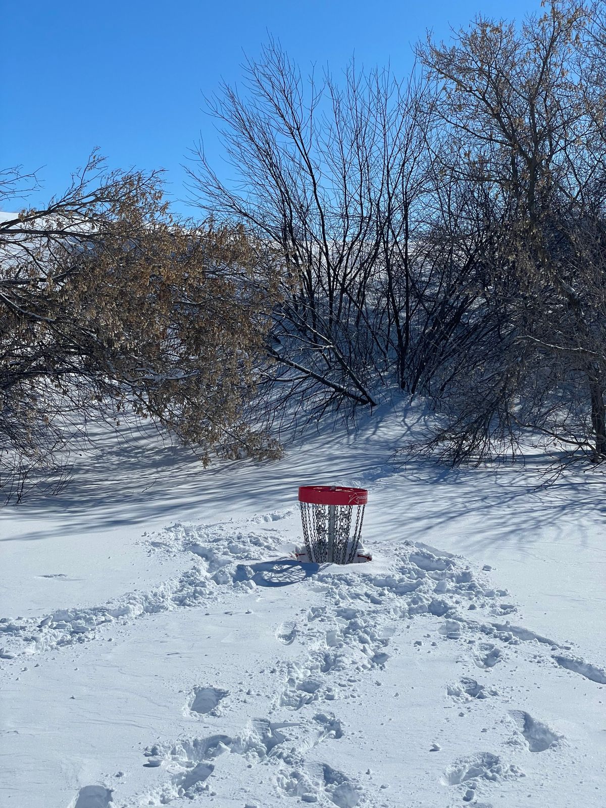 How about what we call toboggan shots into the chains! (Upside down skippers)