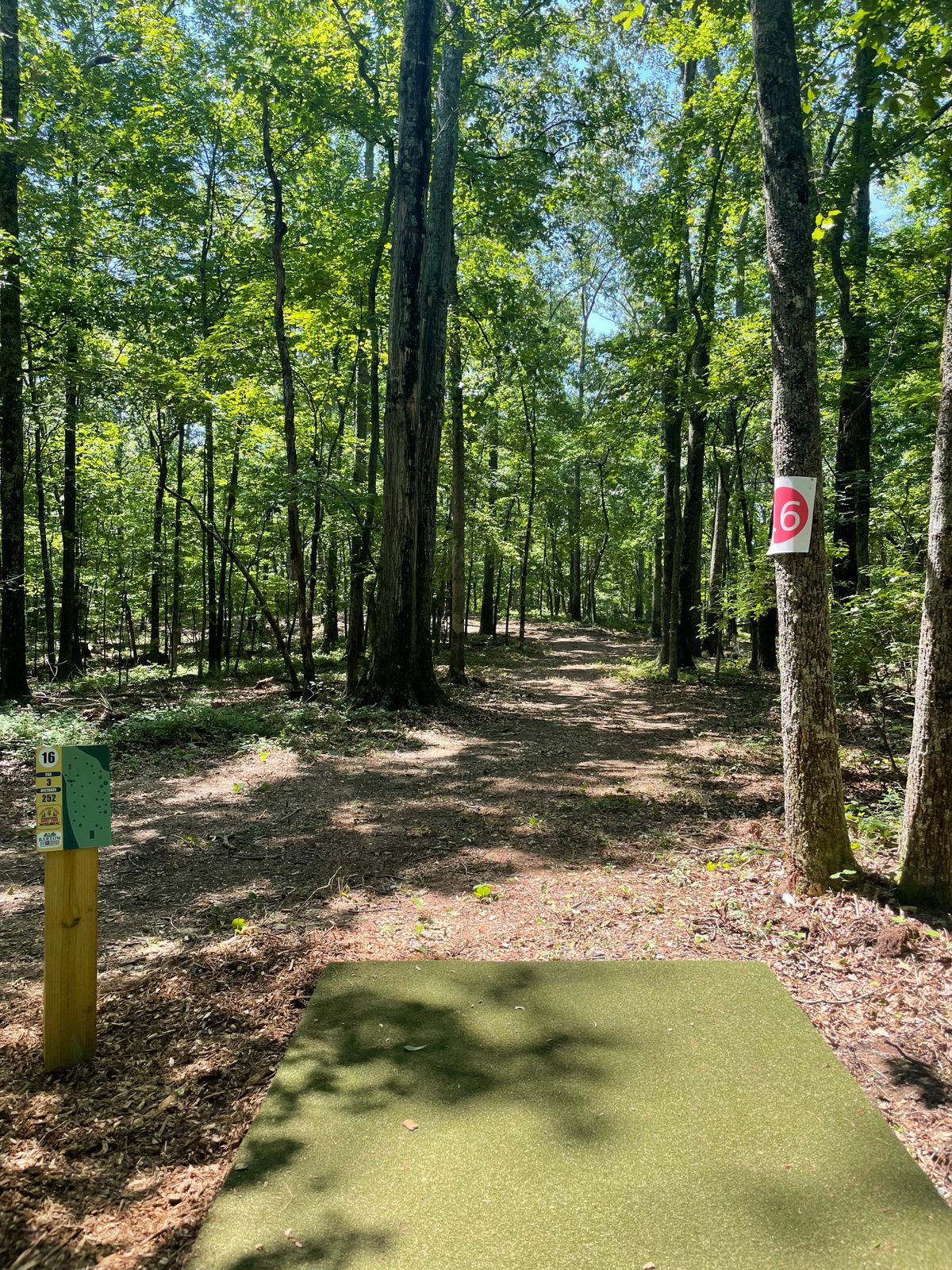 16 tee