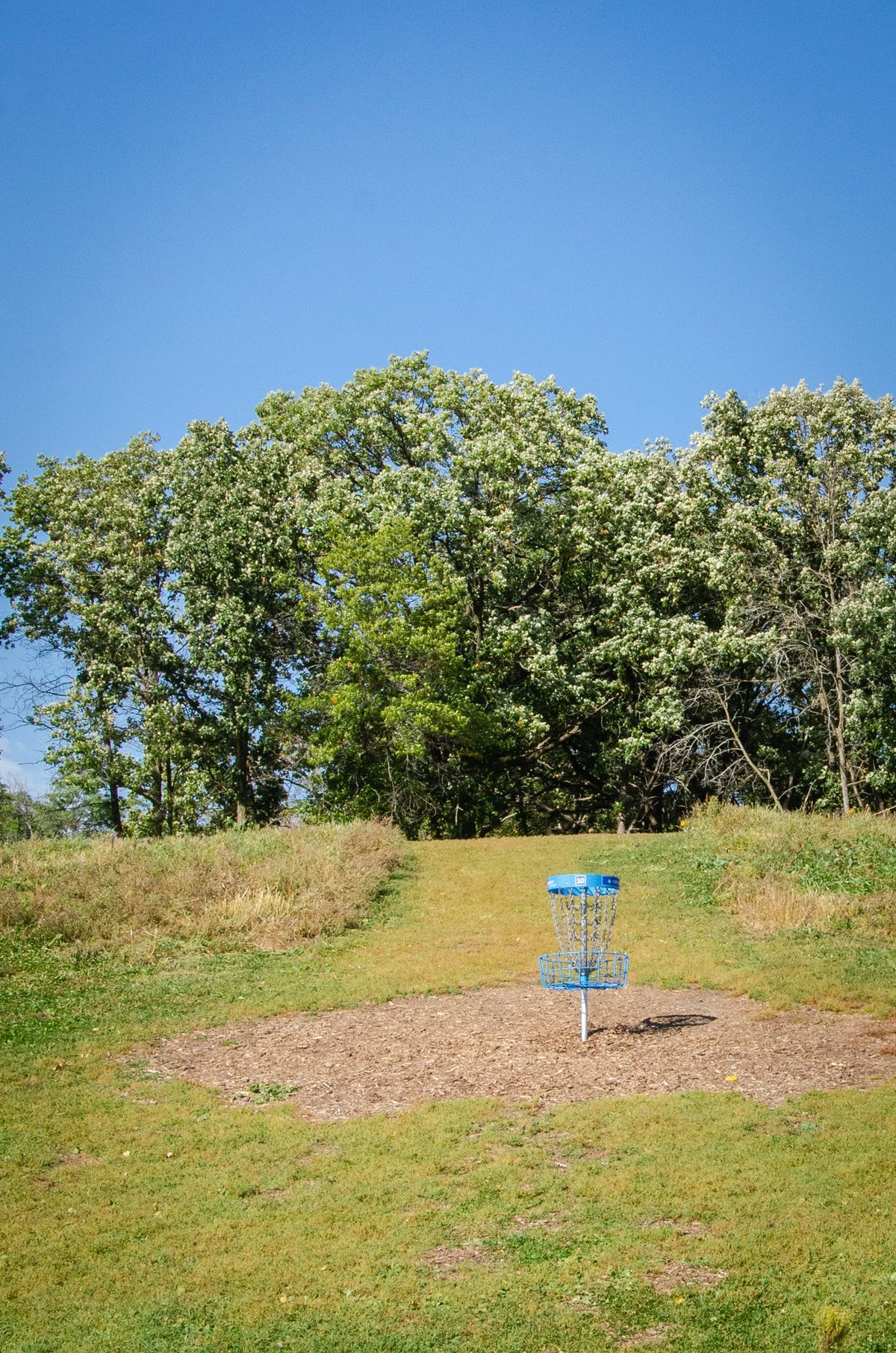 Basket of hole 10 and path to 11th tee