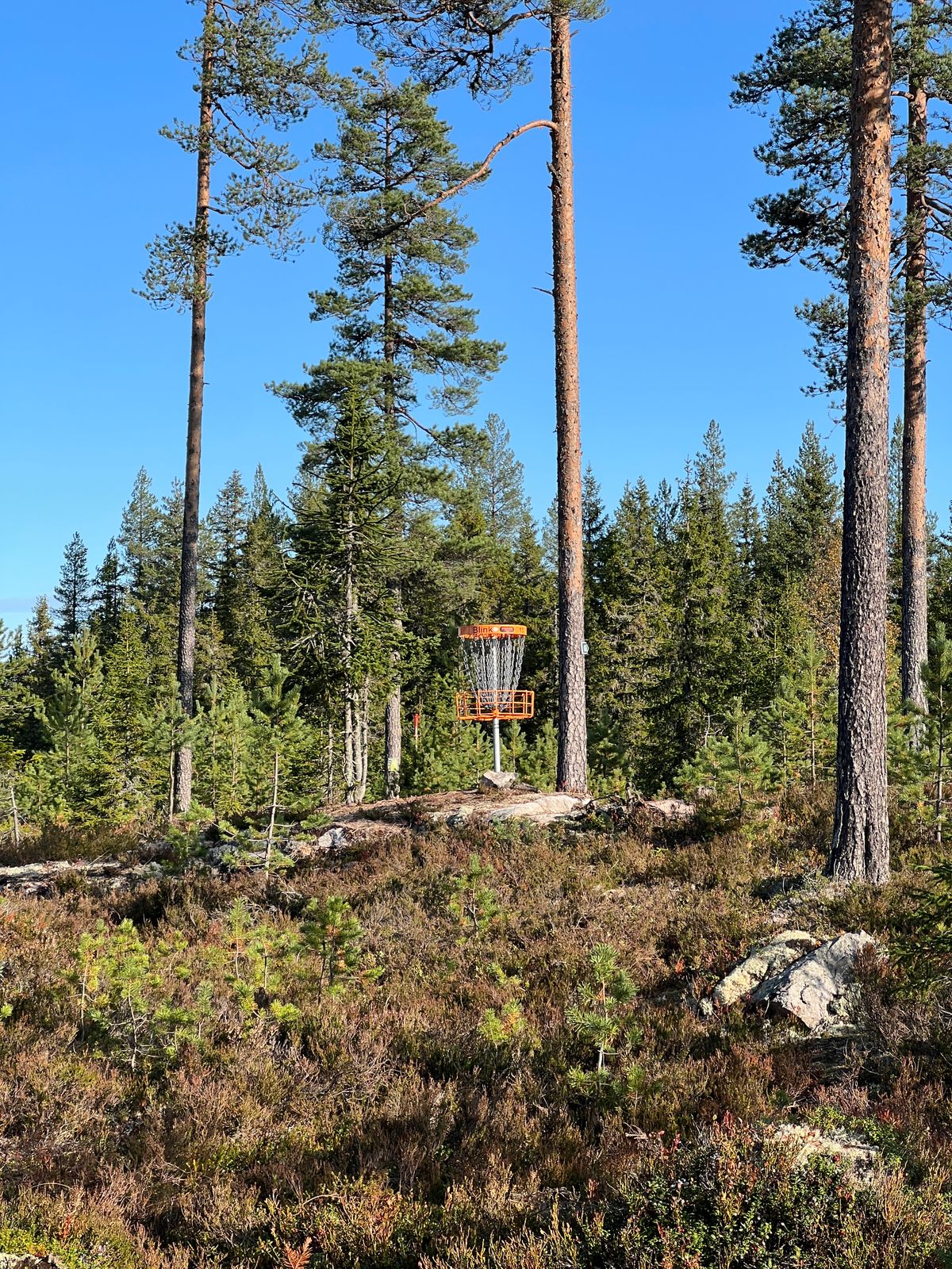 Kurv 10, på toppen av Skjervemoen