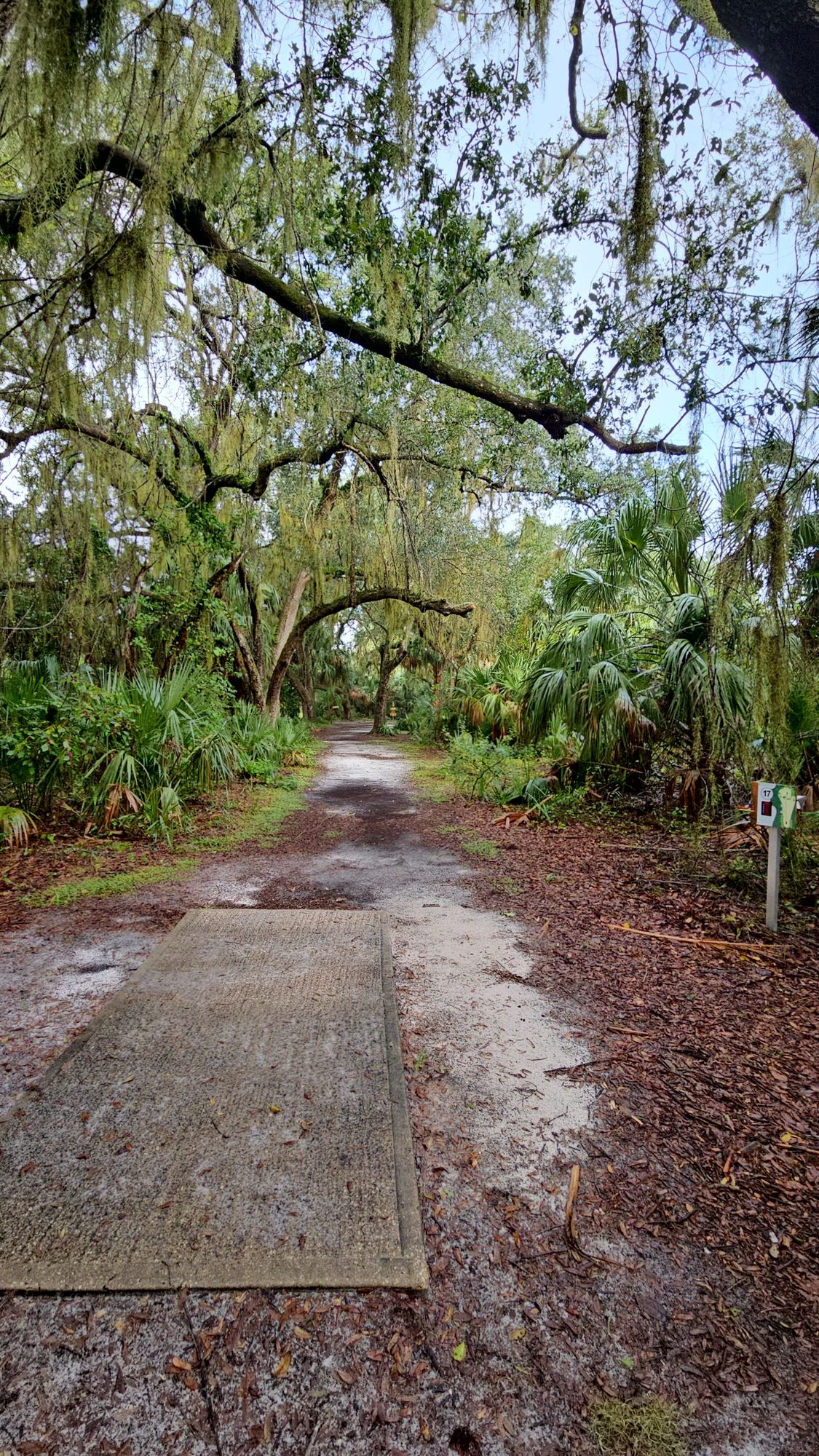 Hole 17