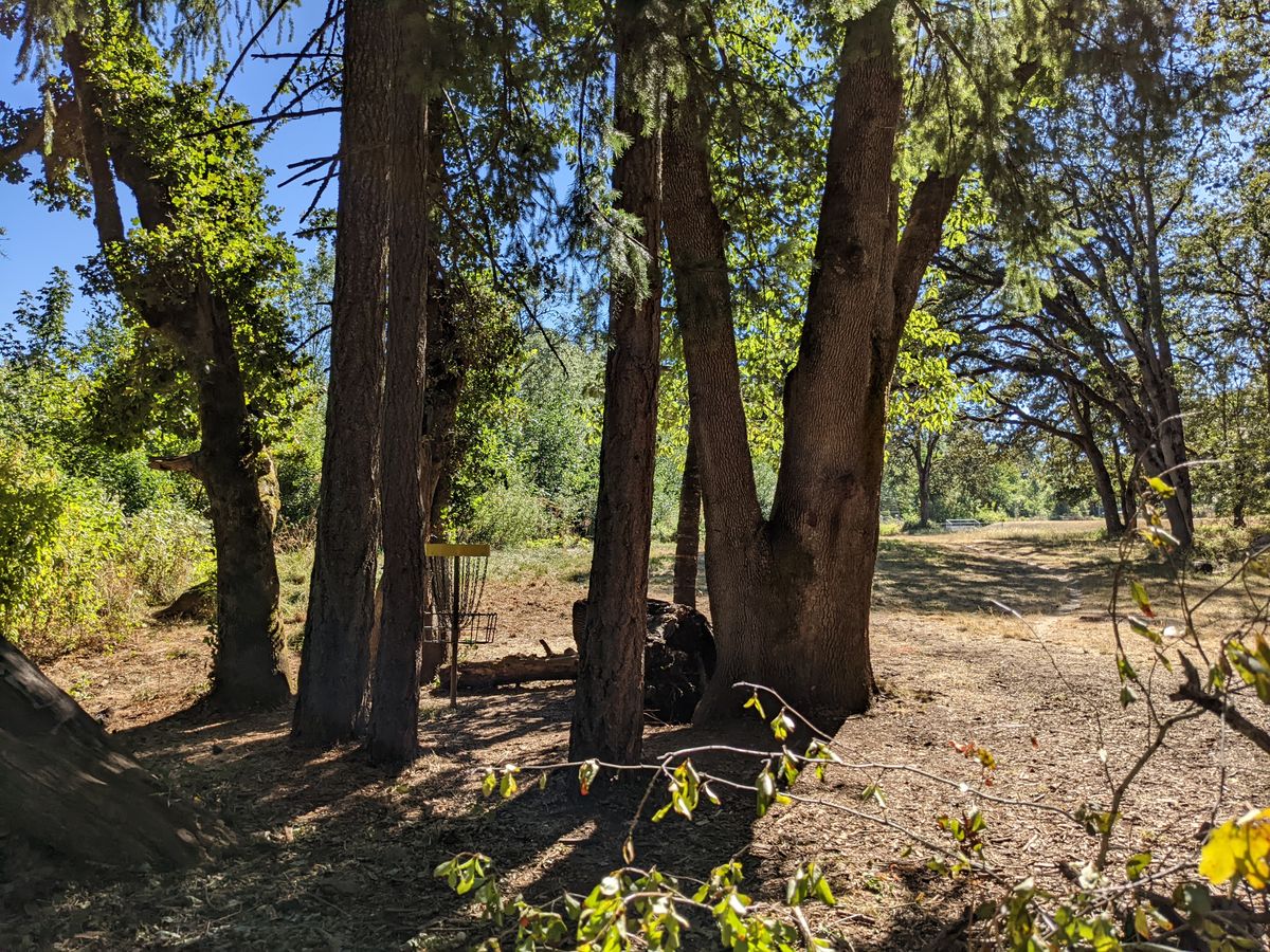 Hole 2