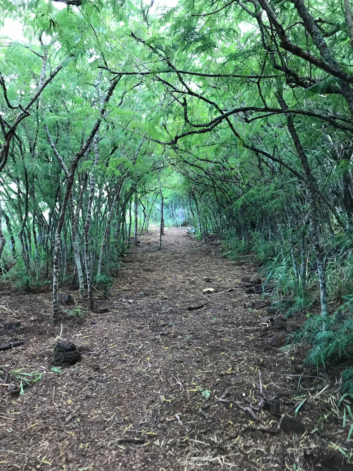 Hole 5