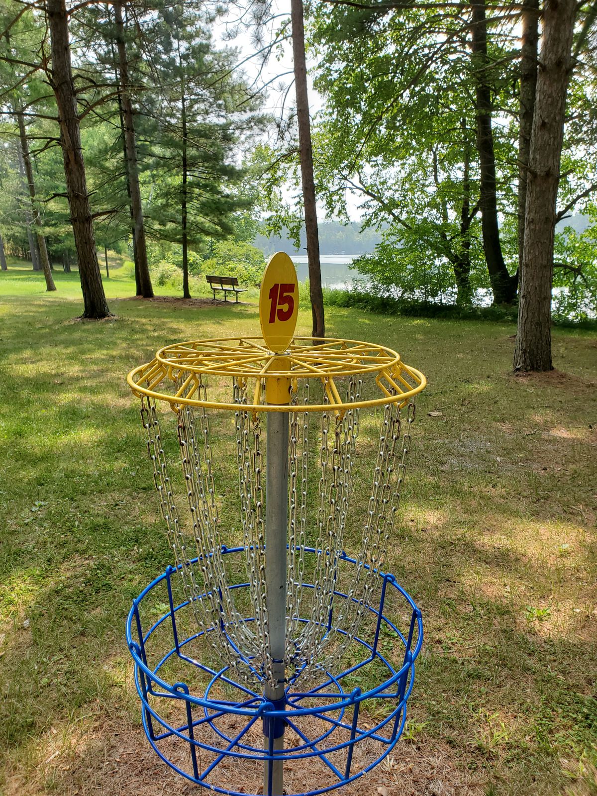 Basket 15