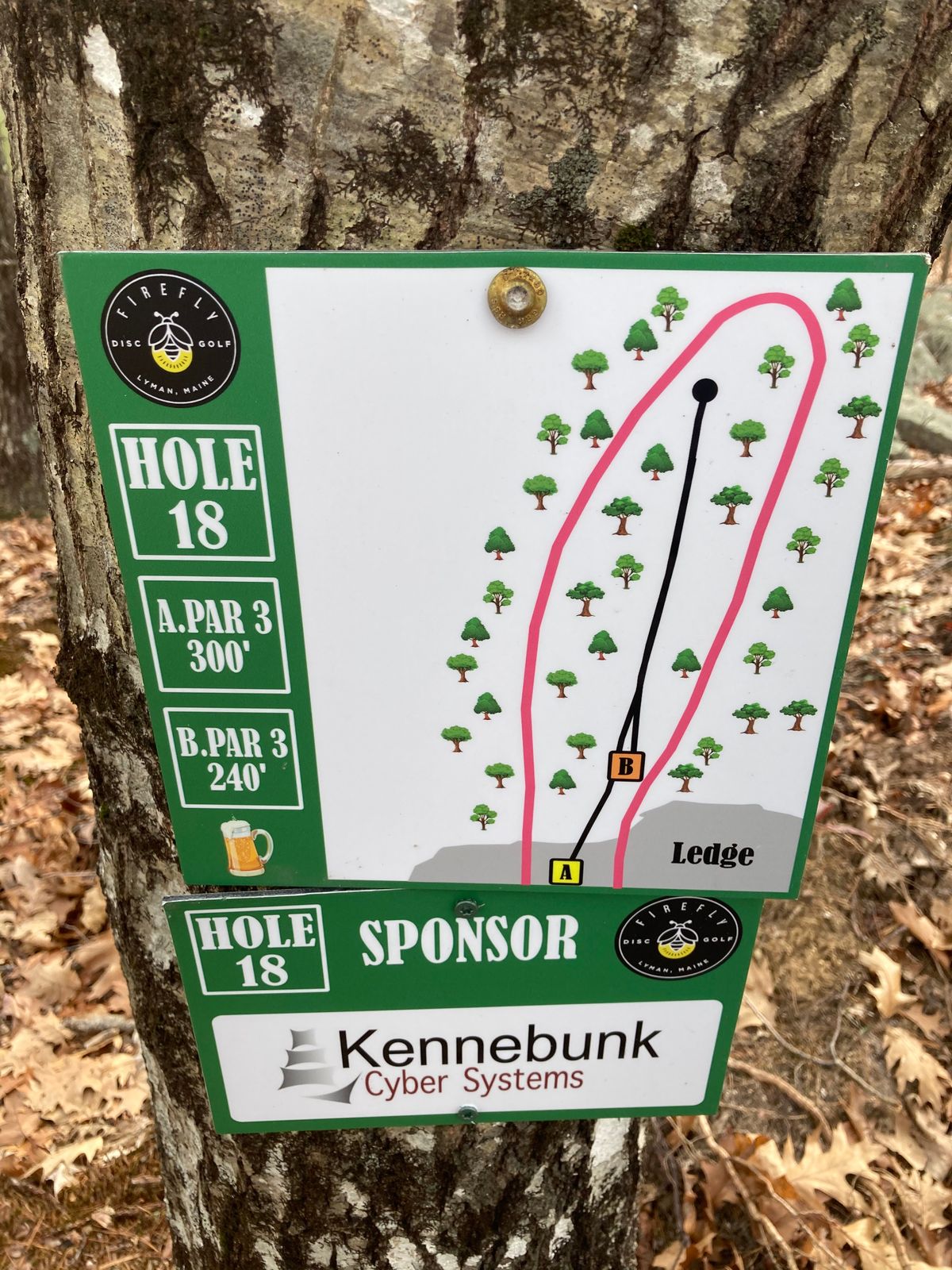 Hole 18- Aceable