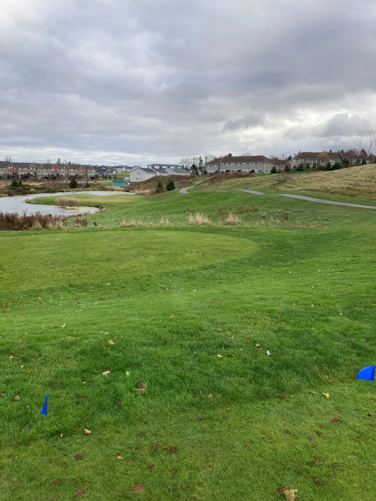 Hole 14 Blue tee.