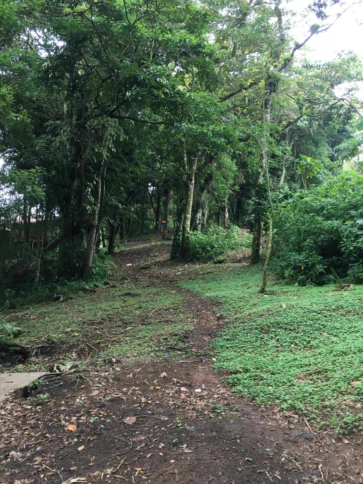 Hole 8 Fairway