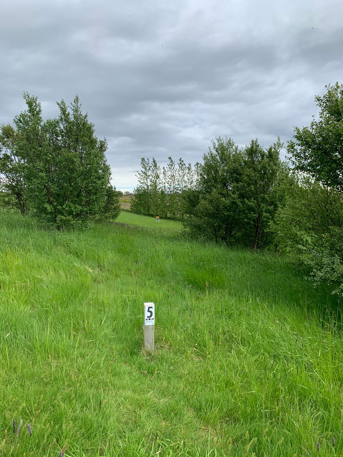5th hole