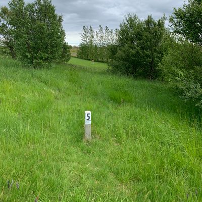 5th hole