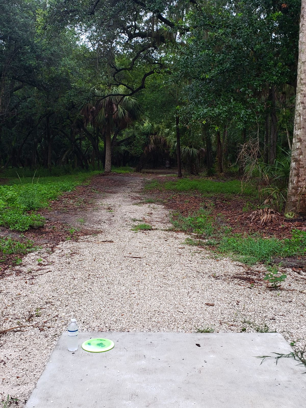 Hole 4 Tee Pad