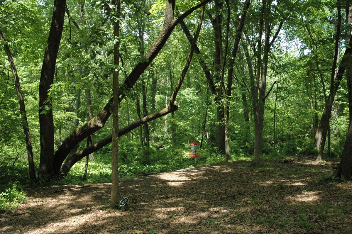 Beware the hanging limbs!