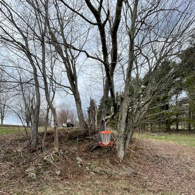 Hole 5 hanging basket