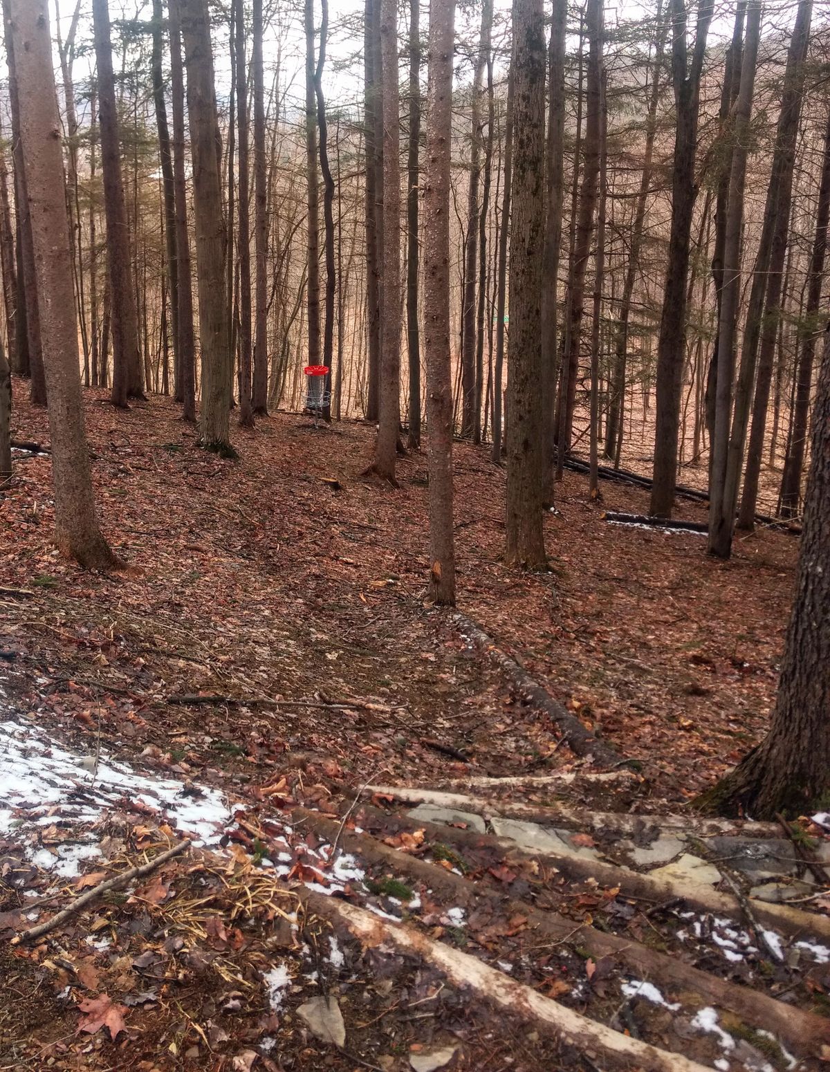 Hole 6