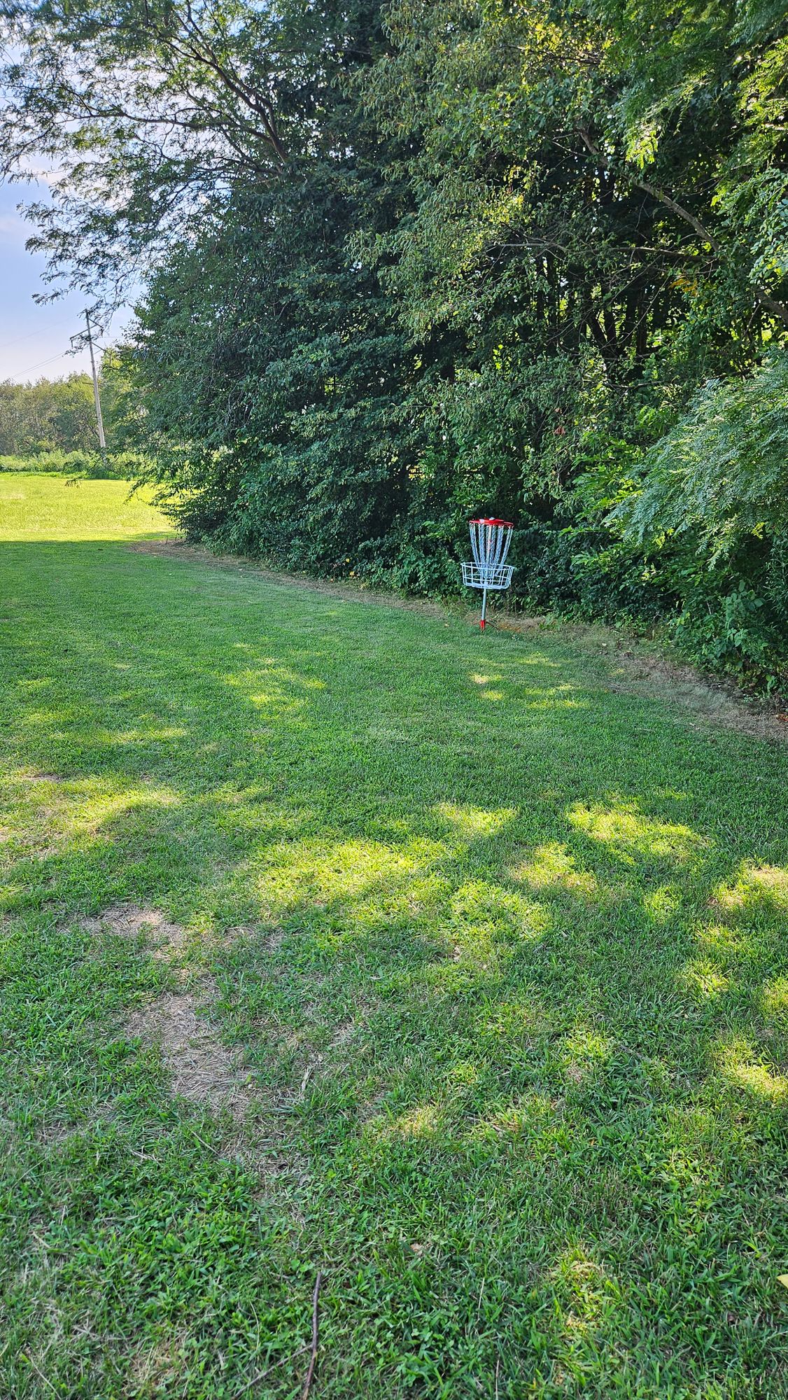 Hole 3 Basket