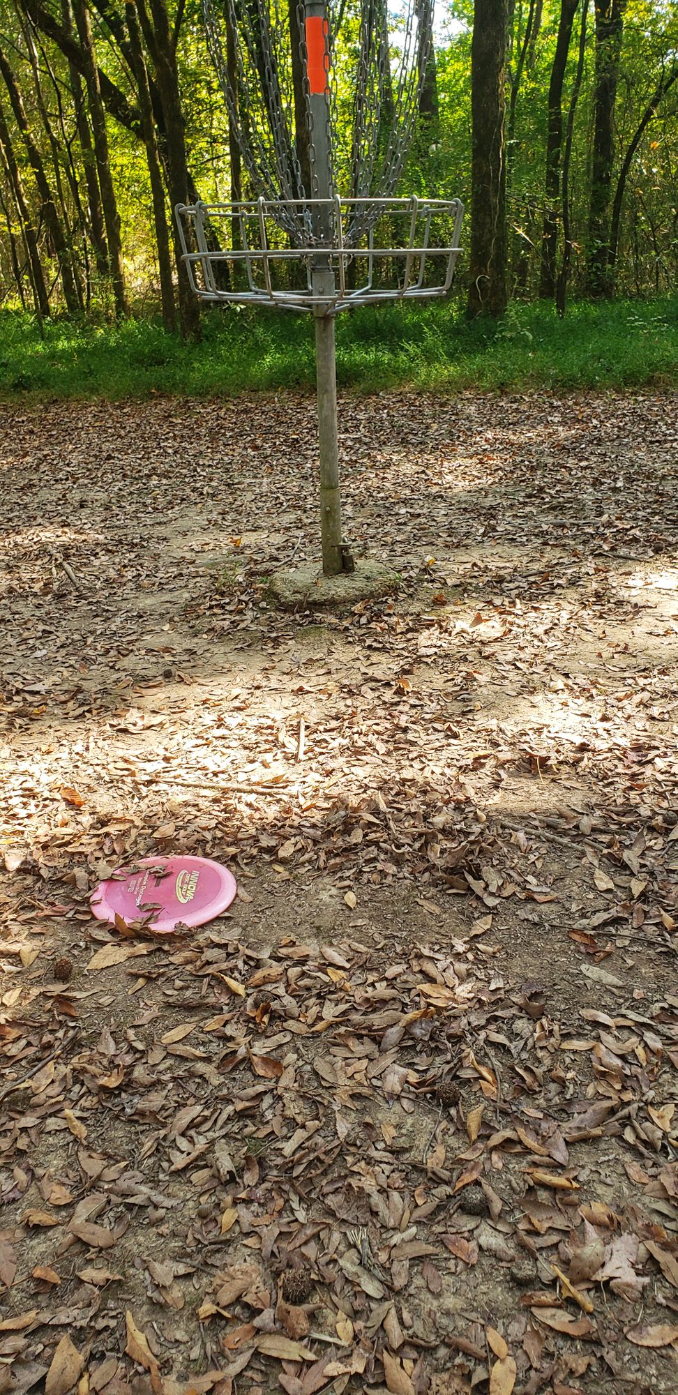 5th hole, got lucky on first toss.