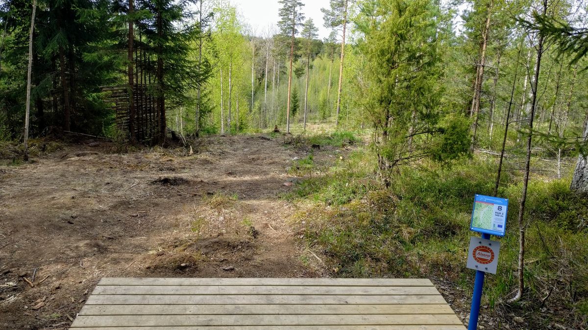 Väylä 8. Par 3 145m.