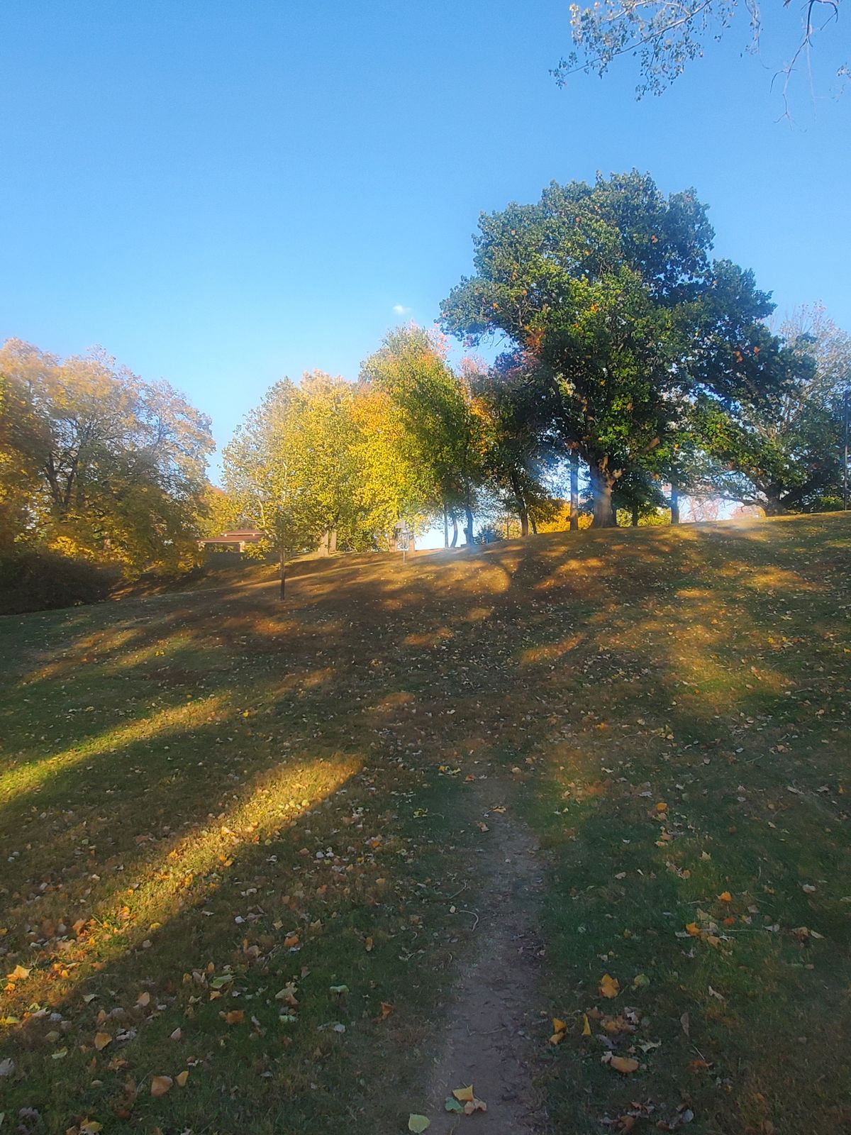 Hole 11