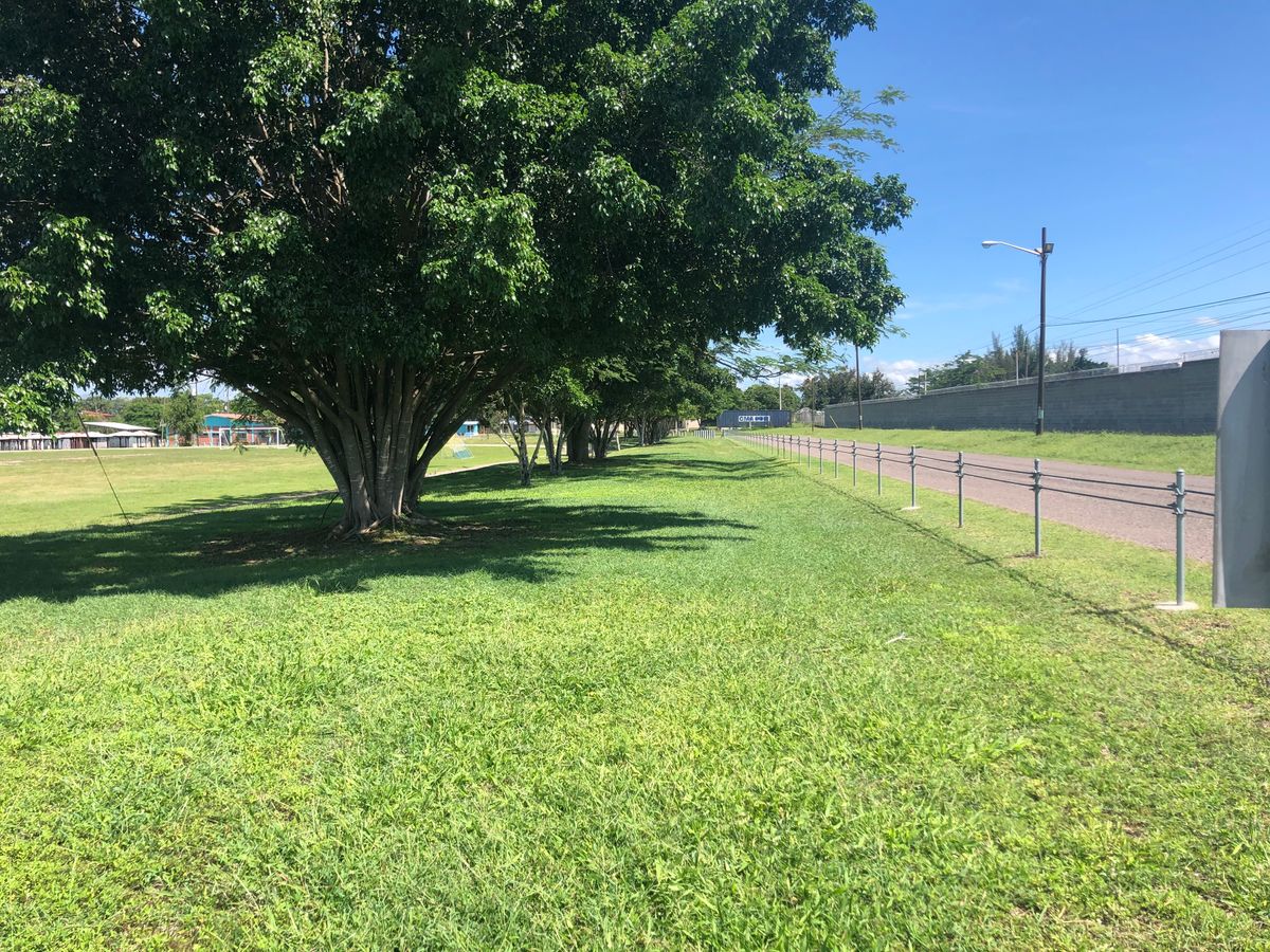 Hole 4