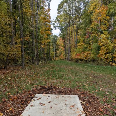Hole 4a, only one tee