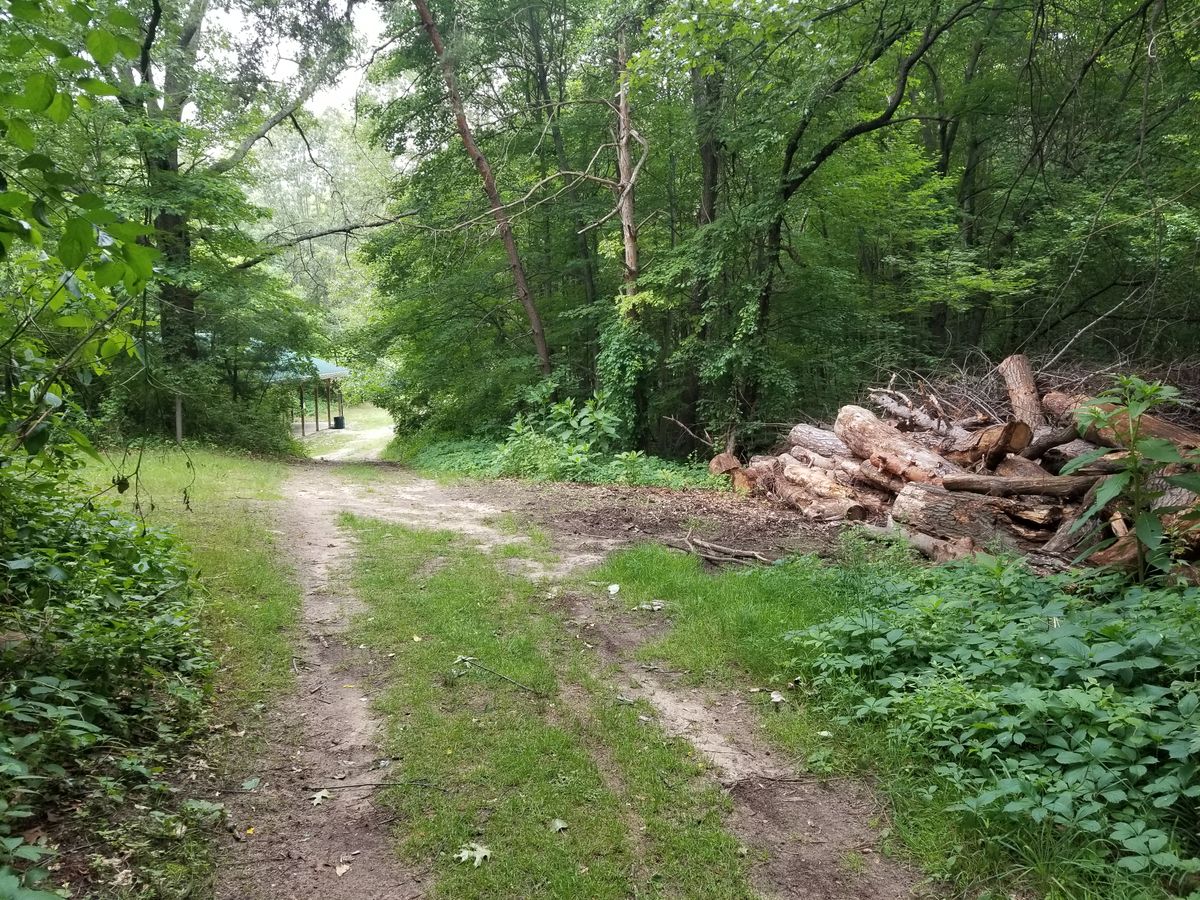 Pathway to #7 (lacks signage/direction) another archway to the right of the pavilion in the distance will lead you there