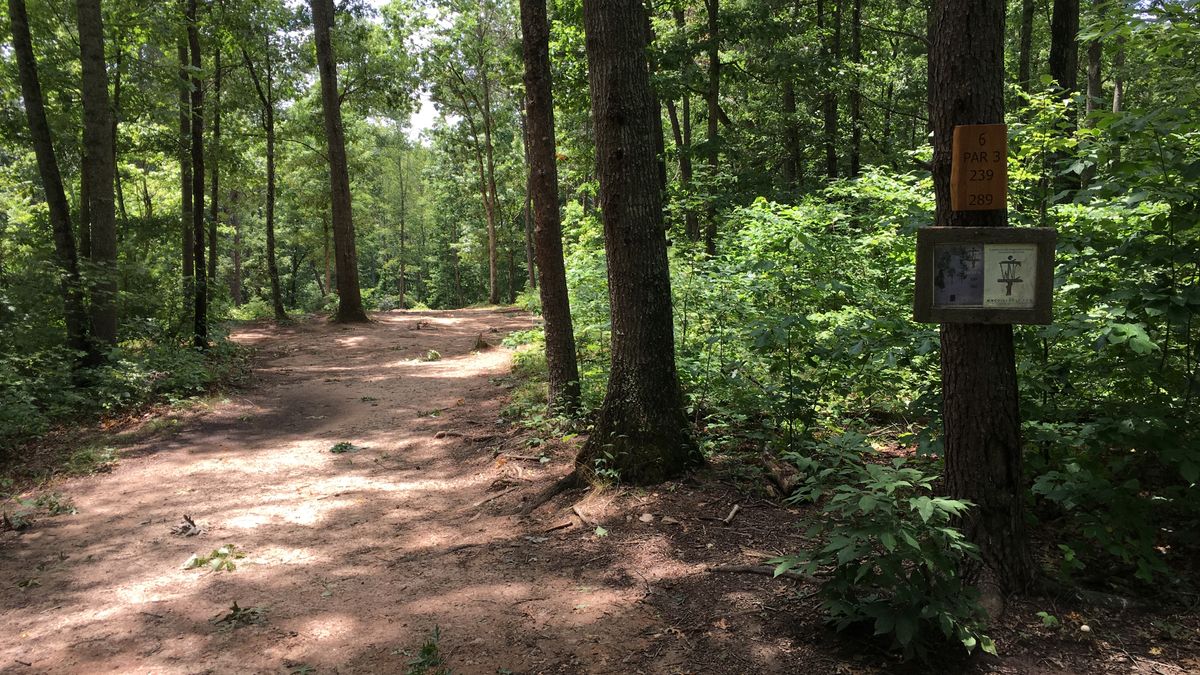 Hole 6