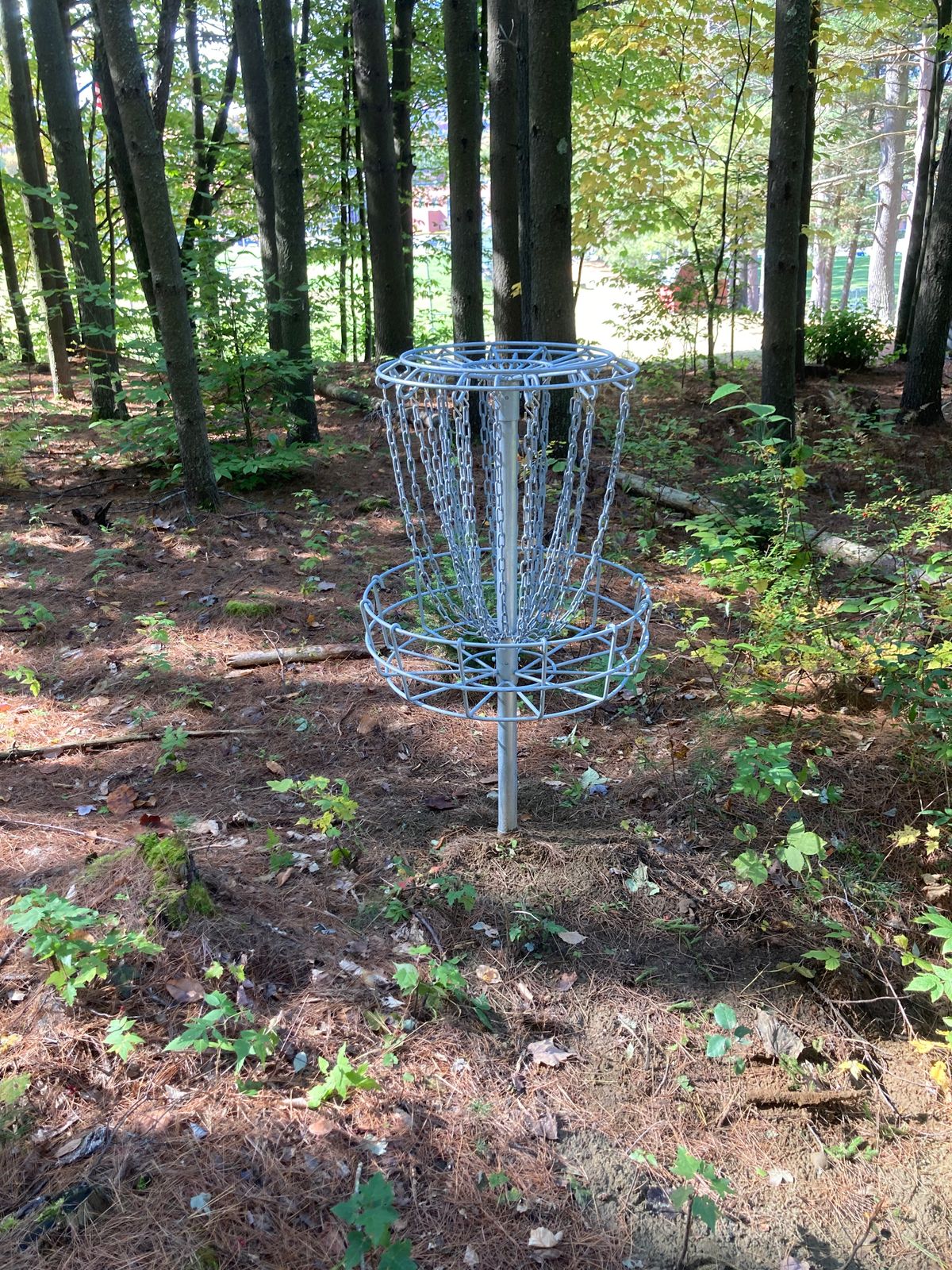 Hole 7 basket