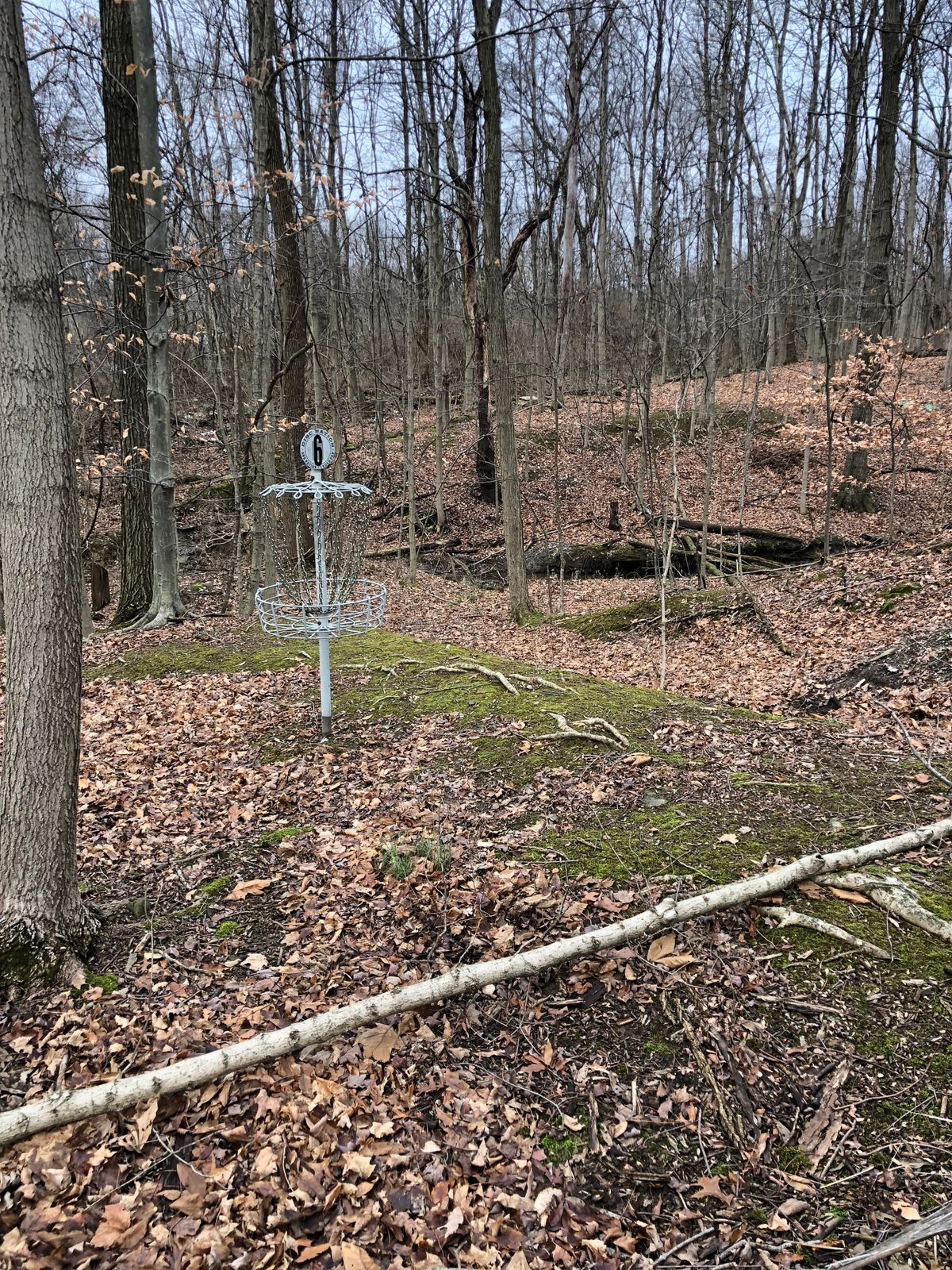 Hole 6 mini cliff side green, don’t go long!