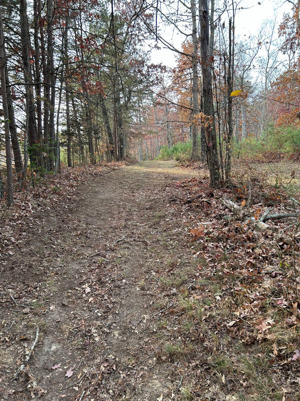 Hole 6