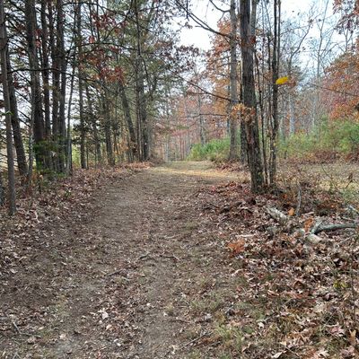 Hole 6