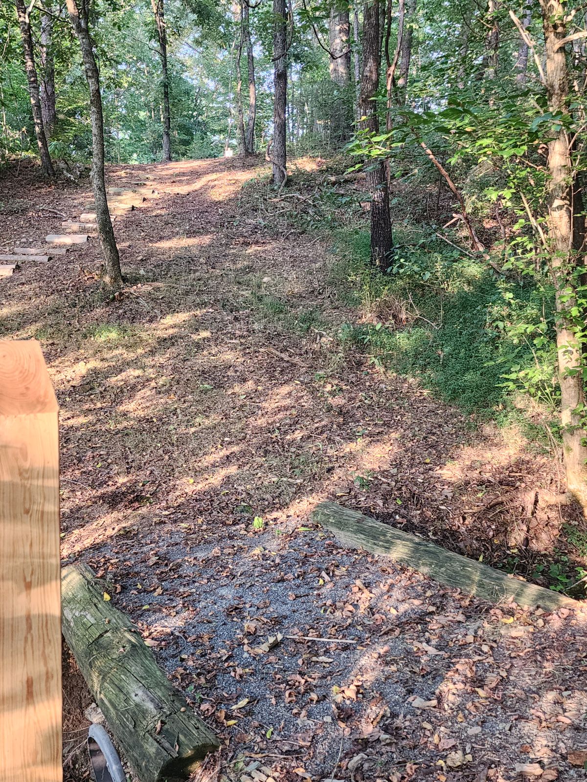 Hole 16
Throw toward basket for hole 7 on top of hill