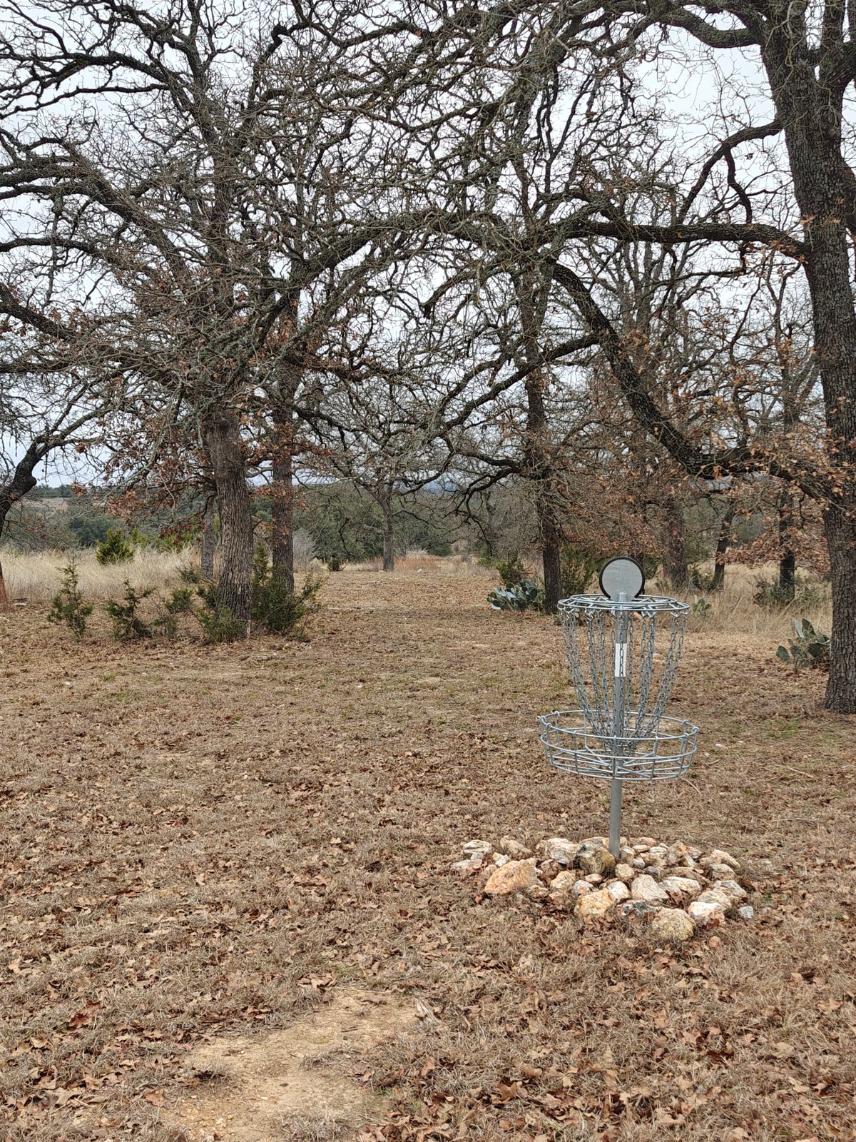 Hole 4 basket looking back at teepad