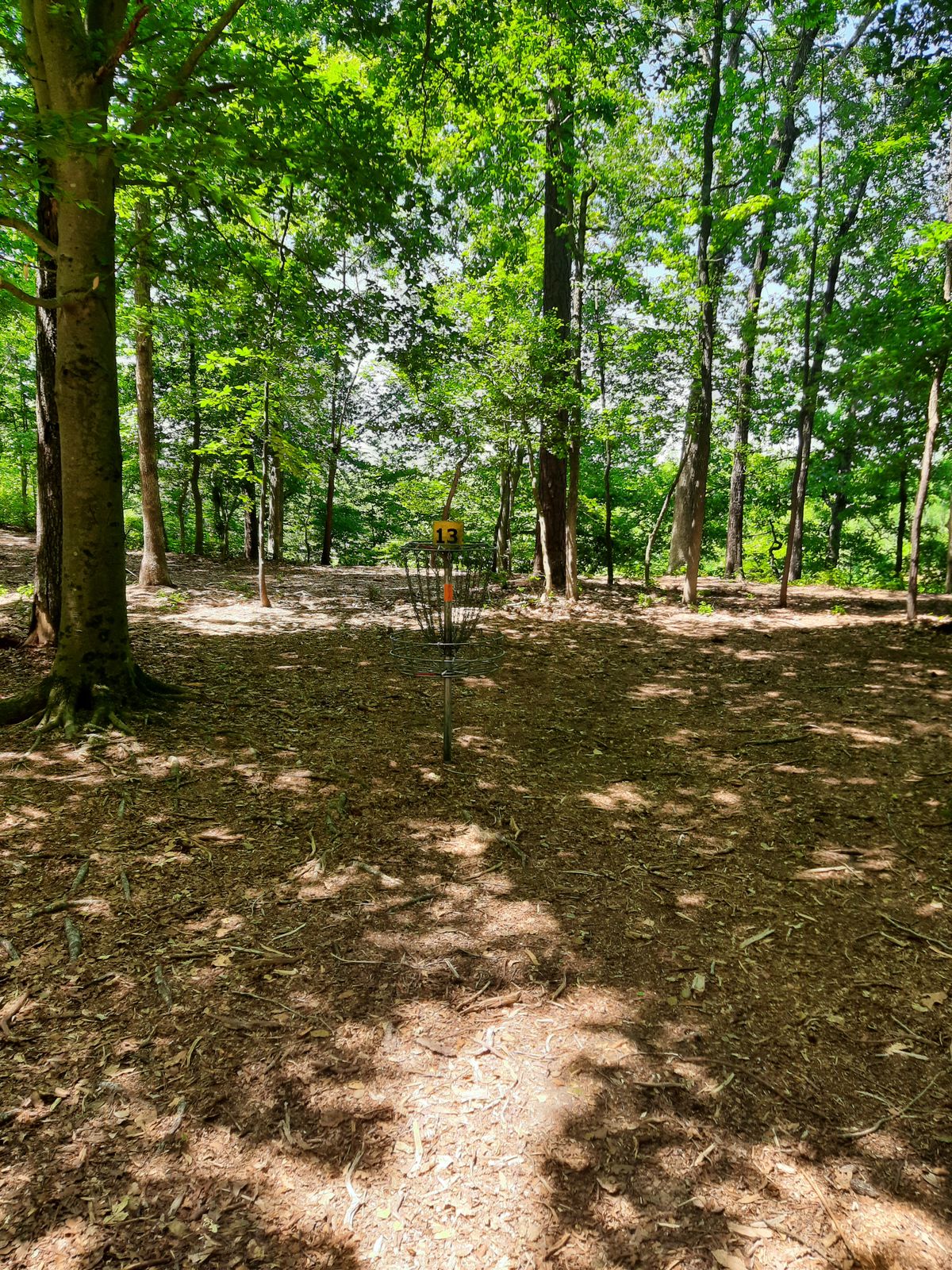Hole 13 Basket