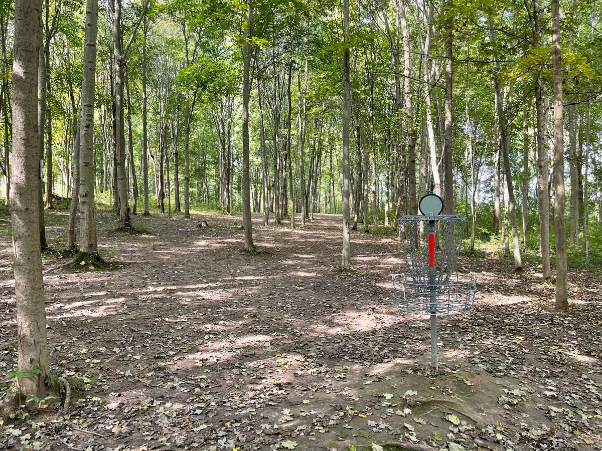 Hole 5 Basket