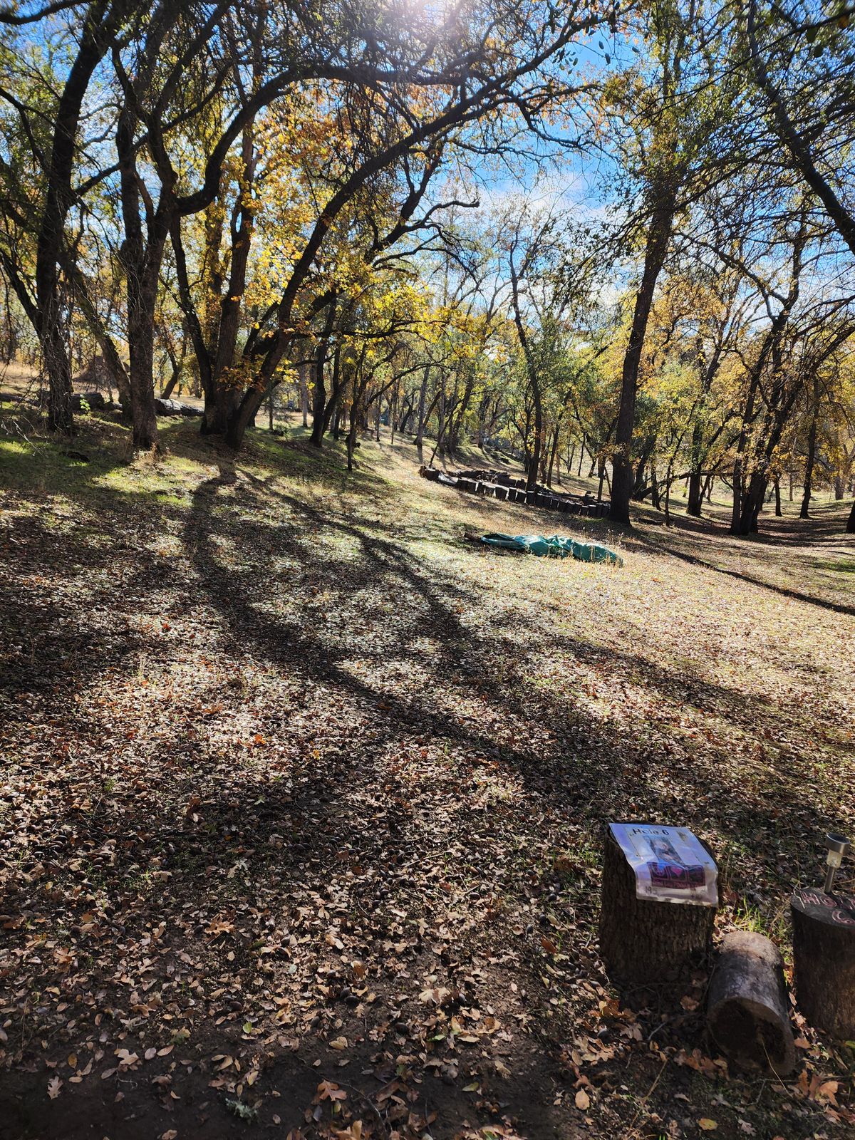 Hole 6 Tee