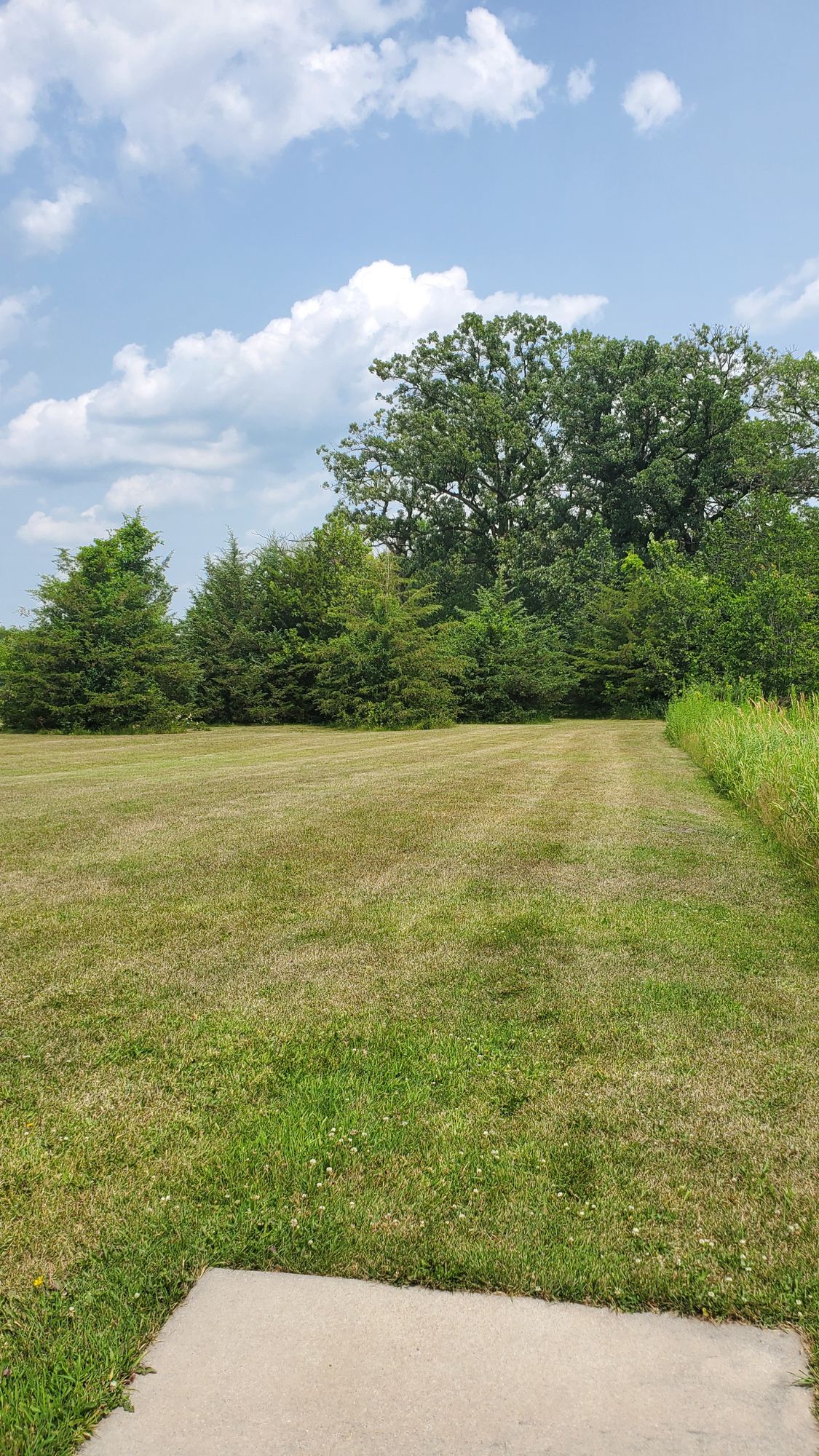 Hole 6 tee. Hole is straight and behind group of trees on boundry