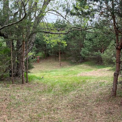 Hole 2. 150ft slightly downhill.