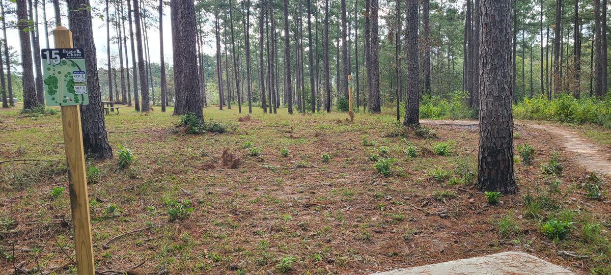 Tee 15