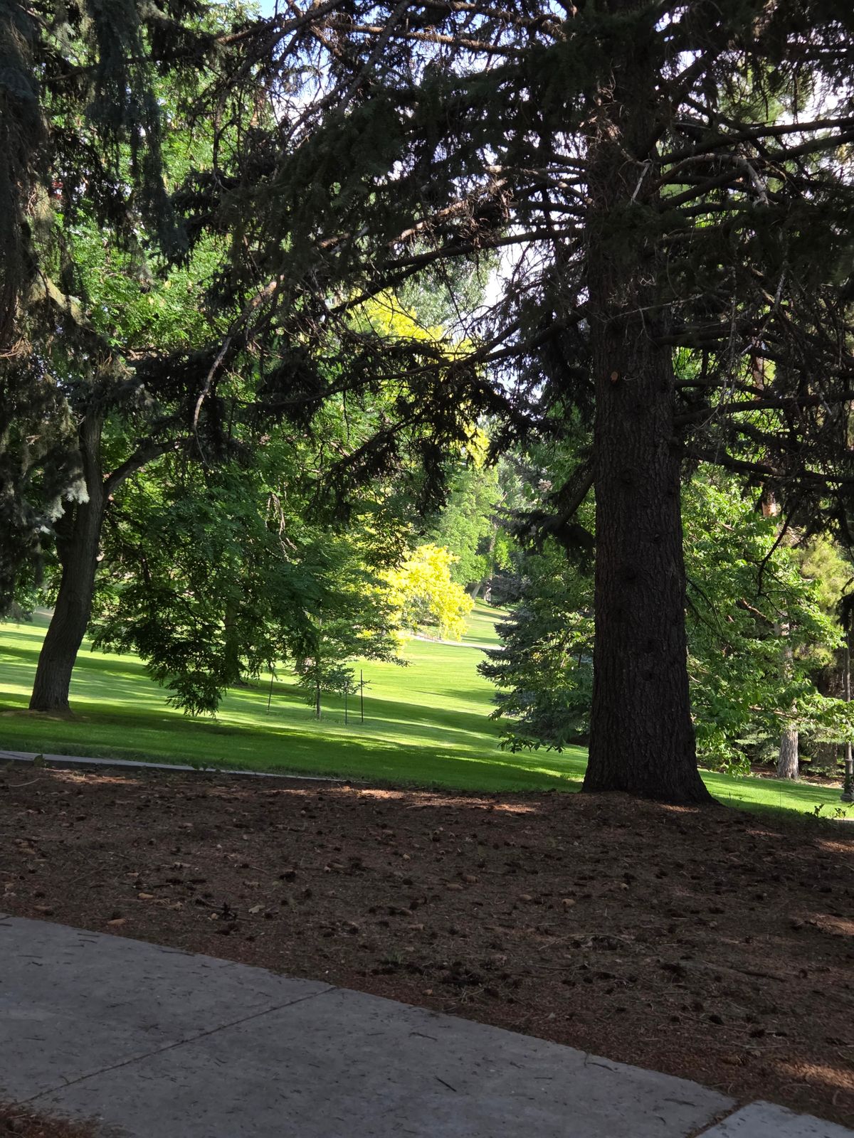 Hole 18's tunnel fairway