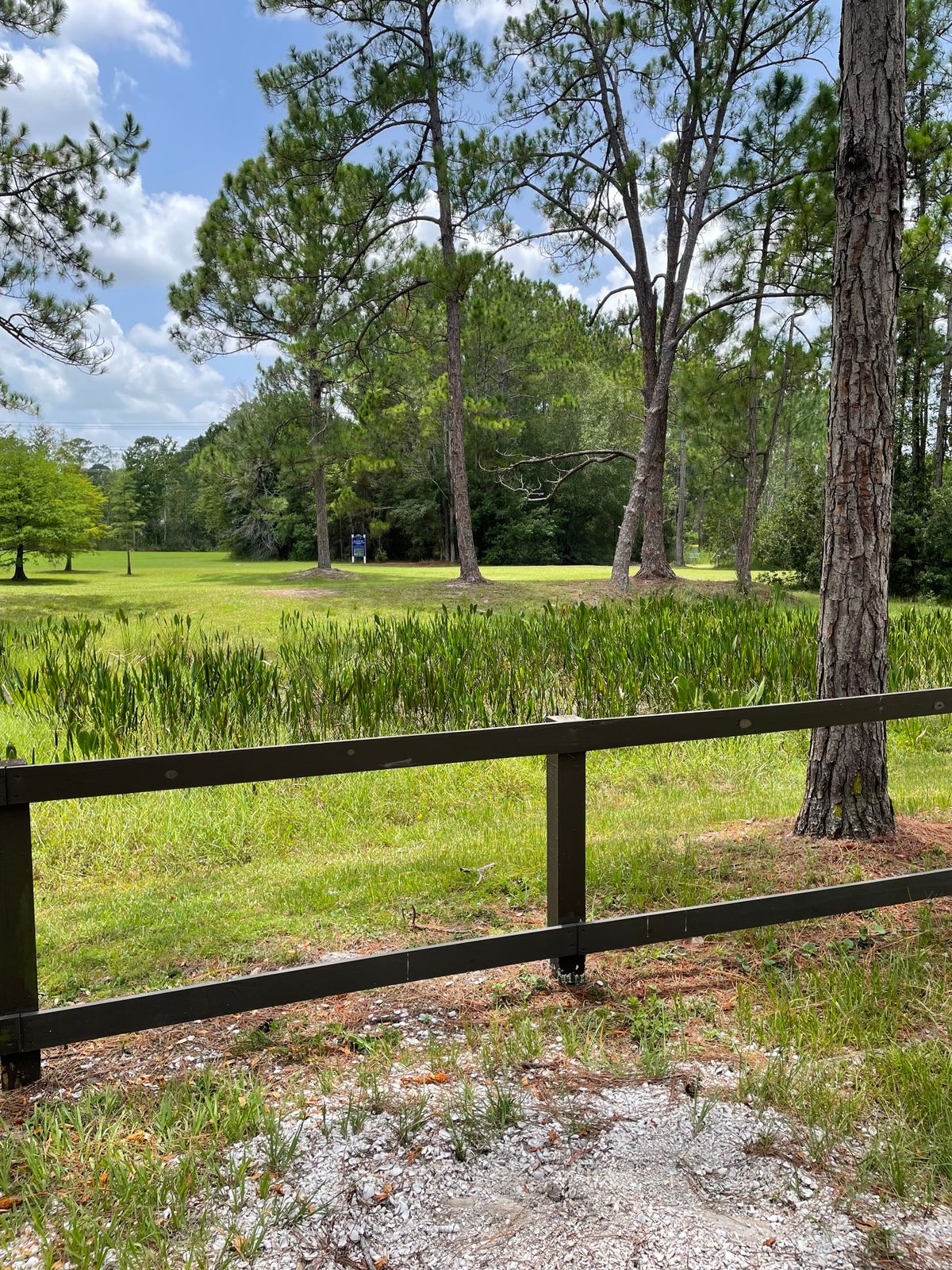 Tee 1