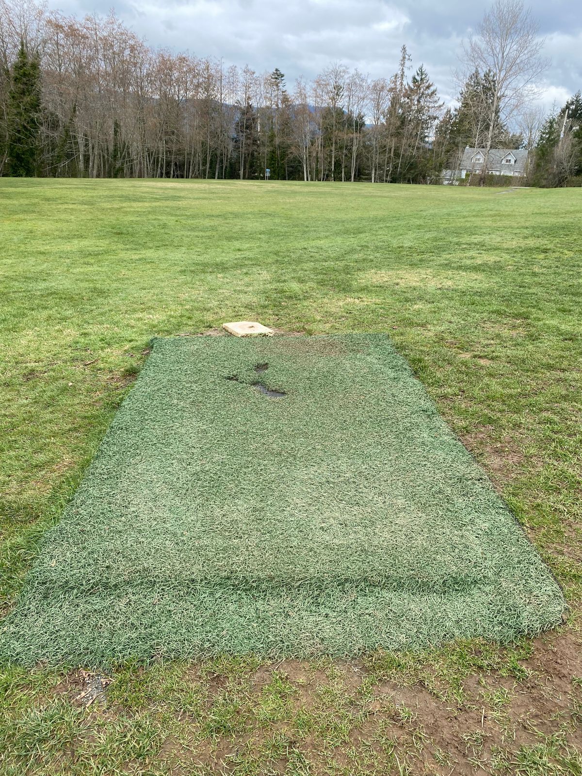 Hole 17 par 4 - 92 meters/ 301ft.  Tee box turf was recycled and re-purposed from Rugby Canada's field at  Starlight Stadium .  Bayside has a strong Rugby program.