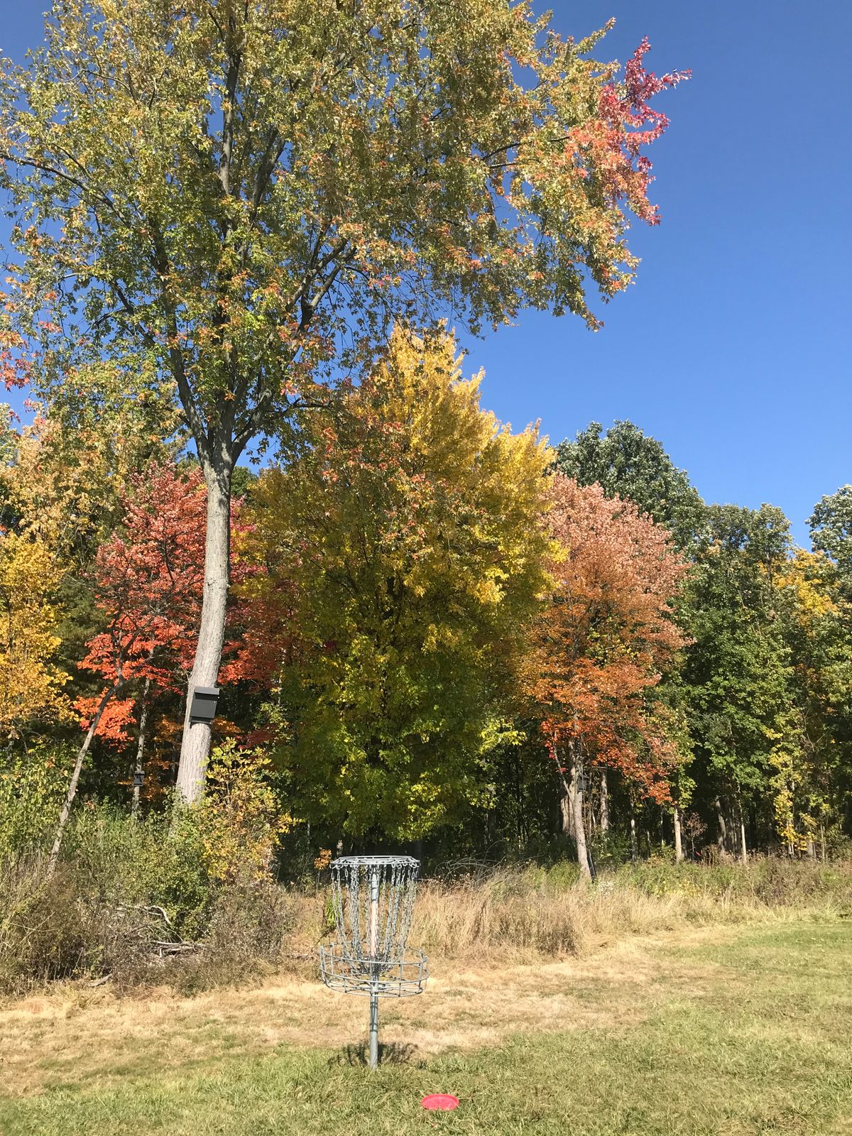 Hole 6