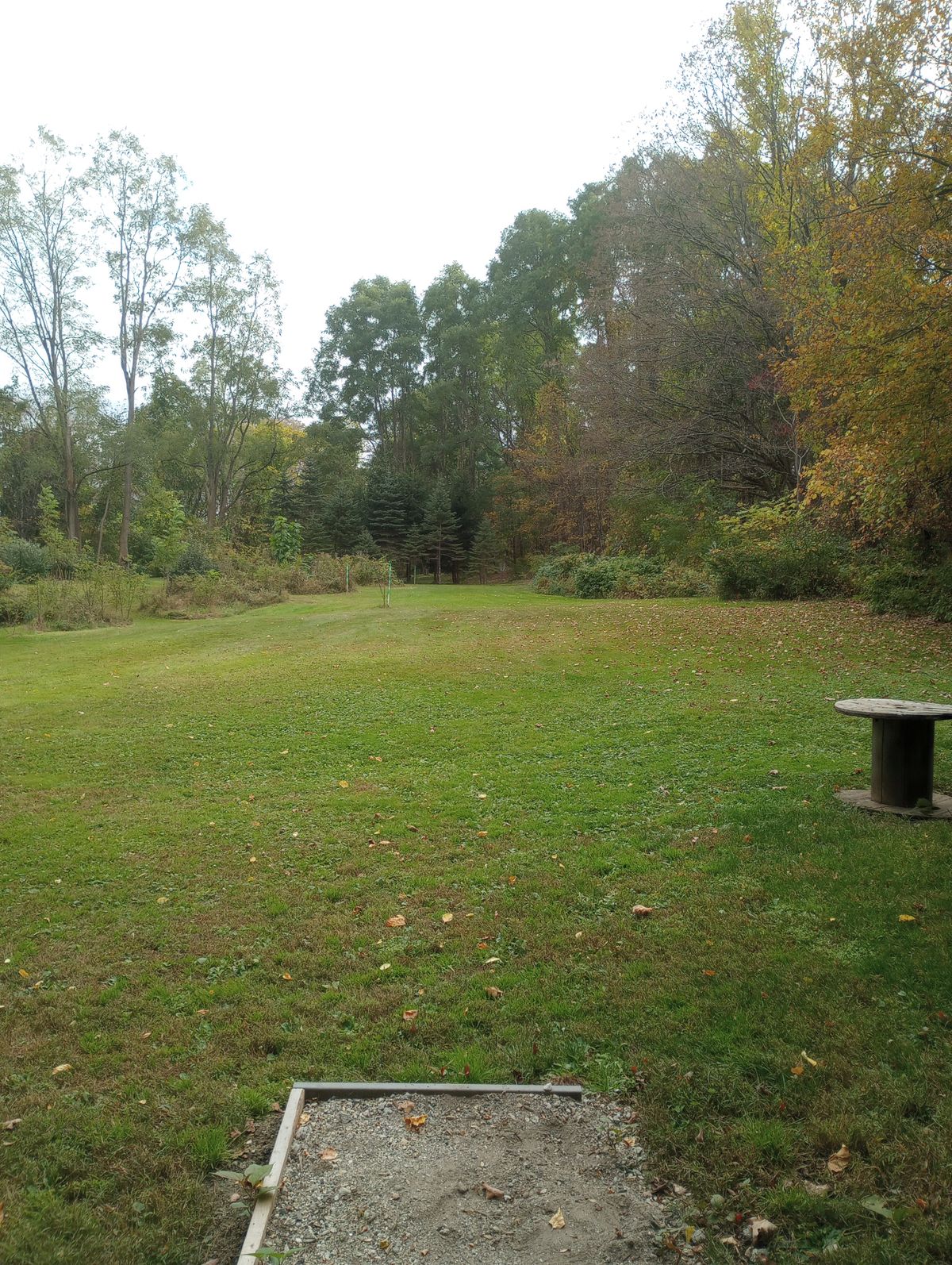 Tee Early Fall
